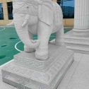 内江 白麻花岗岩动物异形石雕-大象