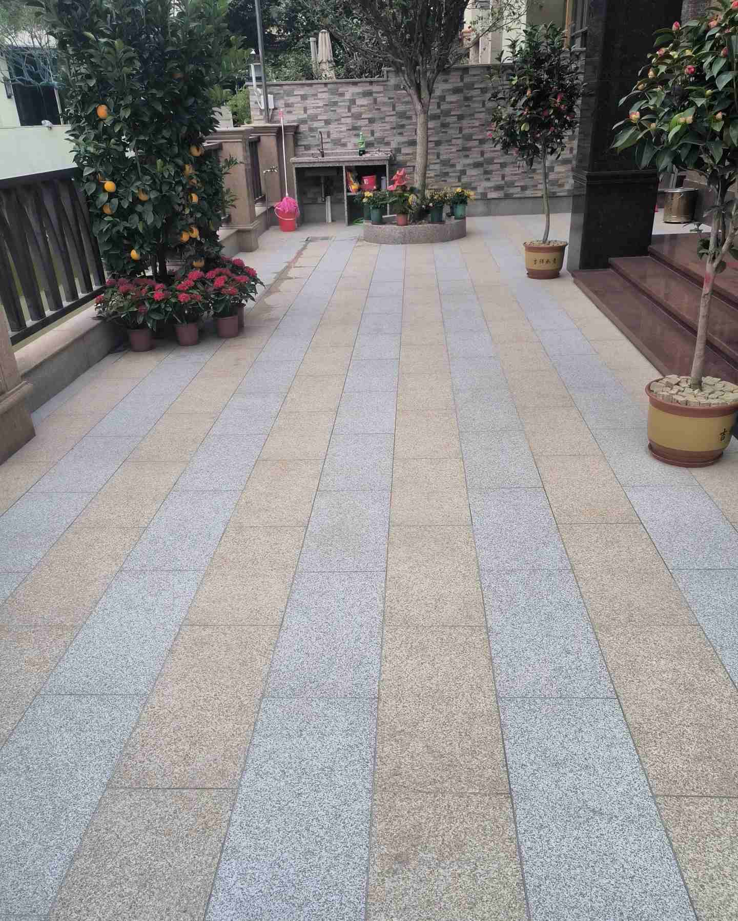 内江 黄金麻白麻荔枝面庭院铺装展示